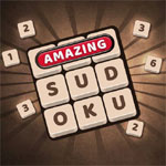 Sudoku yang luar biasa