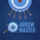 Arrow Master