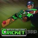Cricketslag-uitdaging