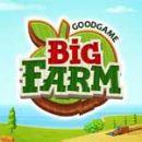 Dobra gra Big Farm