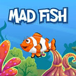 Mad Fish