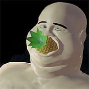 Please Don’t Feed Me