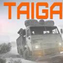 Taiga-Autofahrer