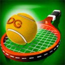 Tenis Pro 3D