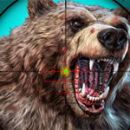 Caccia all'orso selvaggio